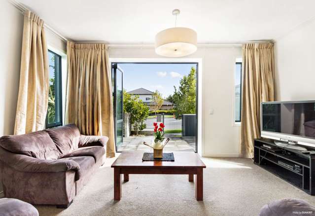 297 Murphys Road Flat Bush_2