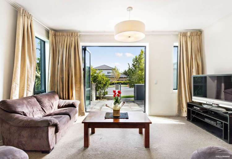 297 Murphys Road Flat Bush_2