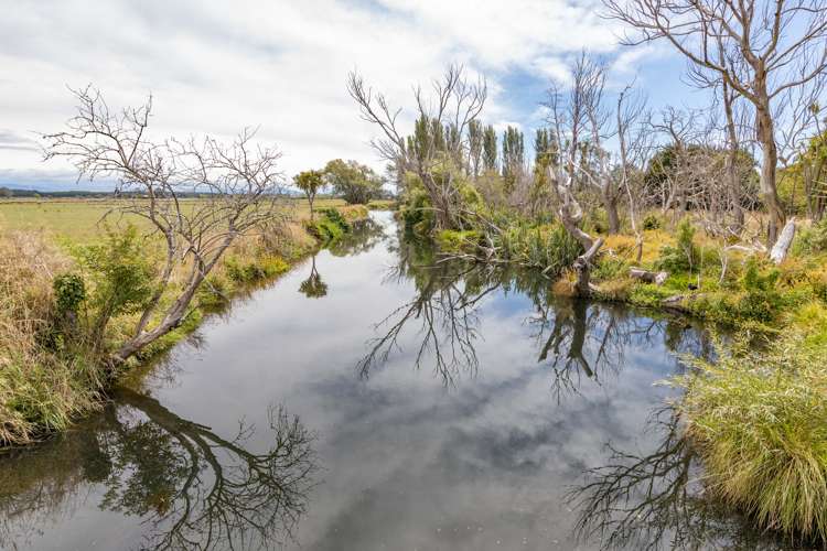 11 Earlham Street Brooklands_8