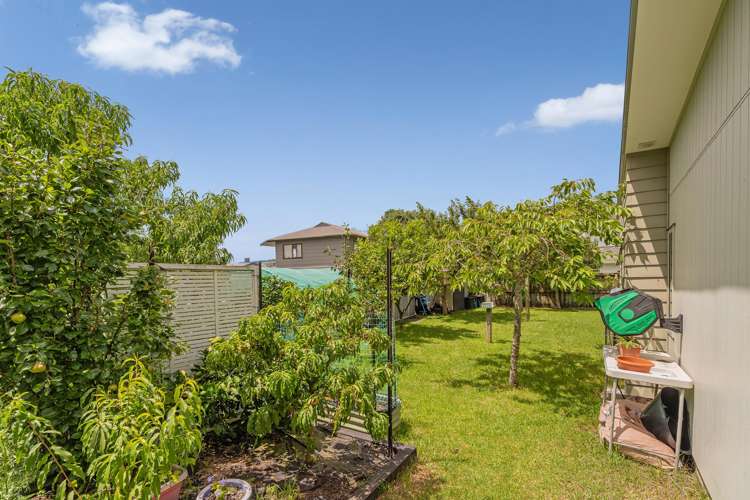 7 Wells Place Whitianga_33