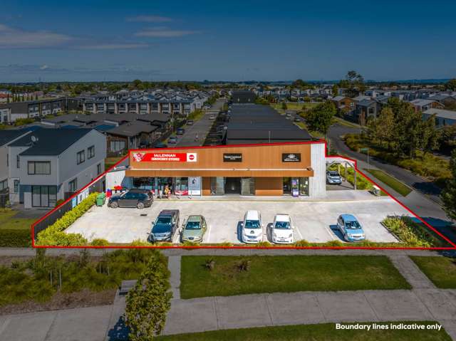 2A Swamp Kauri Grove Papakura_1