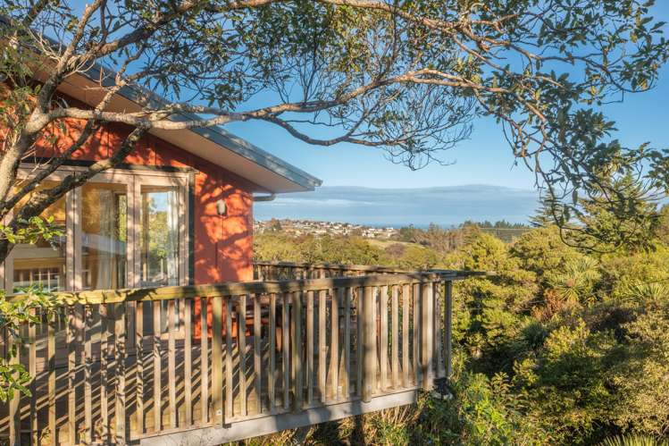 38 Patmos Avenue Woodhaugh_19