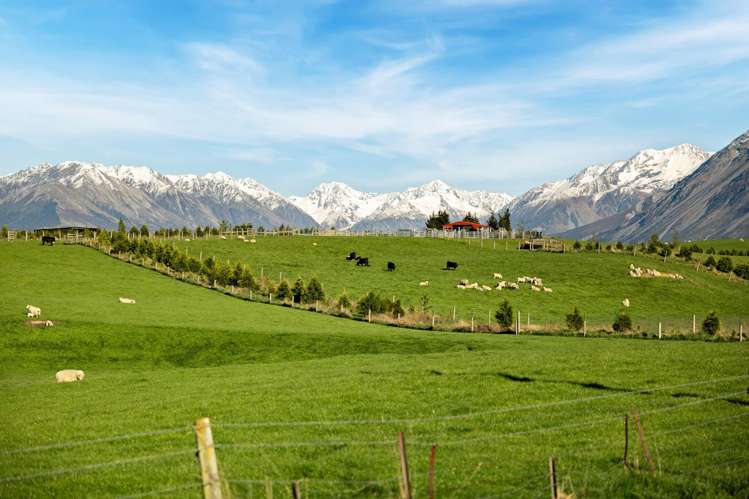 Mount Algidus Station Lake Coleridge_23