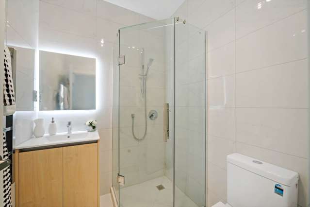 20b Subritzky Avenue Mount Roskill_1