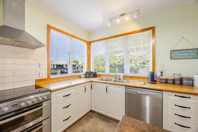 23 Victoria Street Waipawa_3