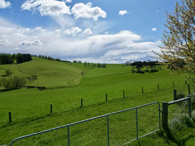 93 Baker Road, 66 Waihola Hill Road and Berwick Road Clarendon_13