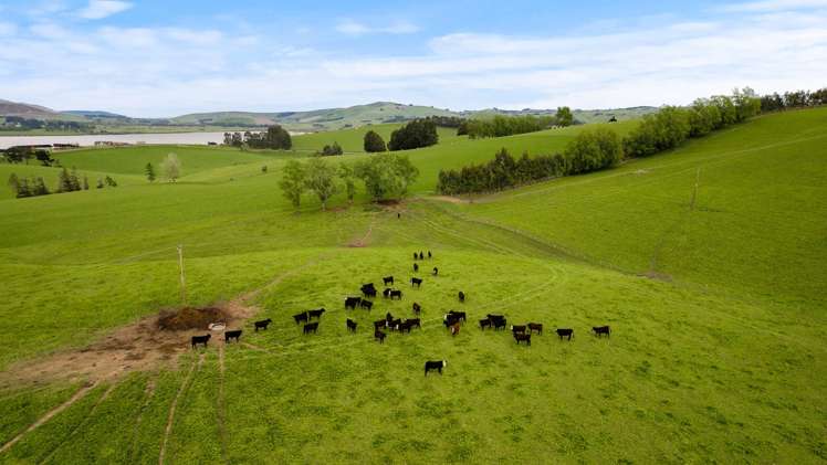 93 Baker Road, 66 Waihola Hill Road and Berwick Road Clarendon_6