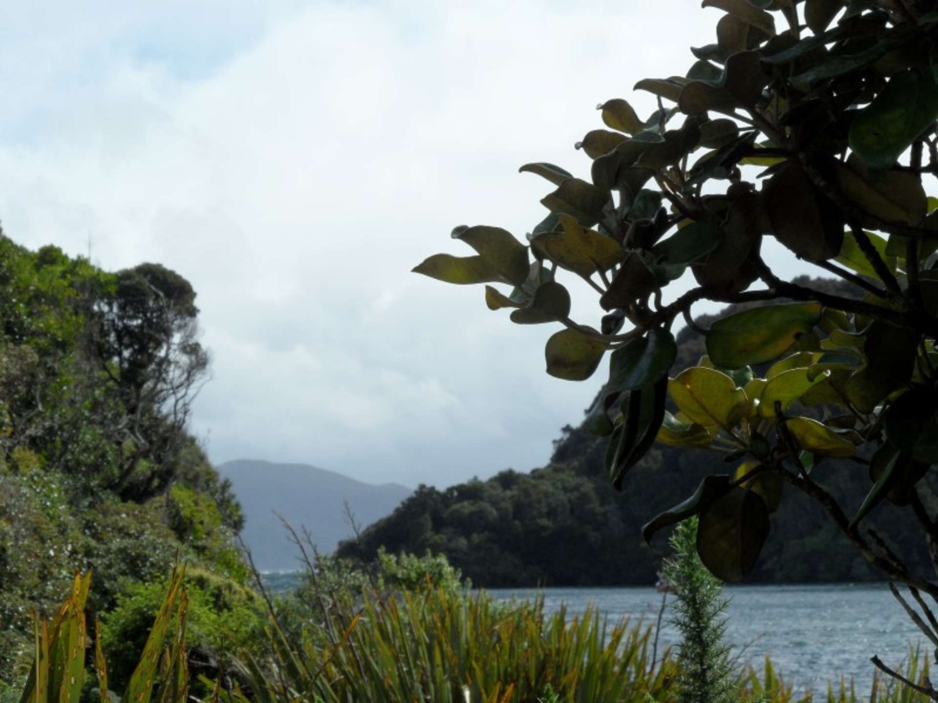 42 Deep Bay Road Stewart Island/Rakiura_0