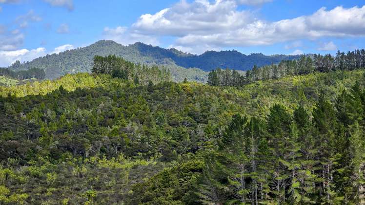 3211 Russell Road Whangaruru_9