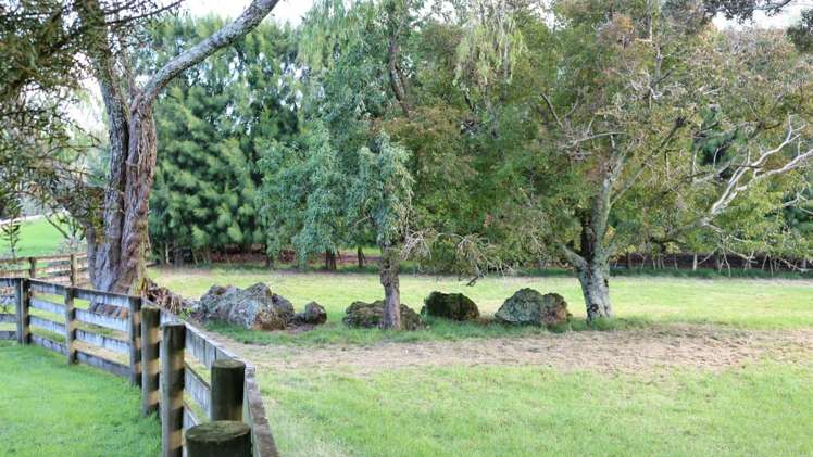 Brenda Gardner Way Maunu_10