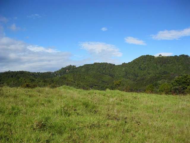 Waiotoi Road Ngunguru_2