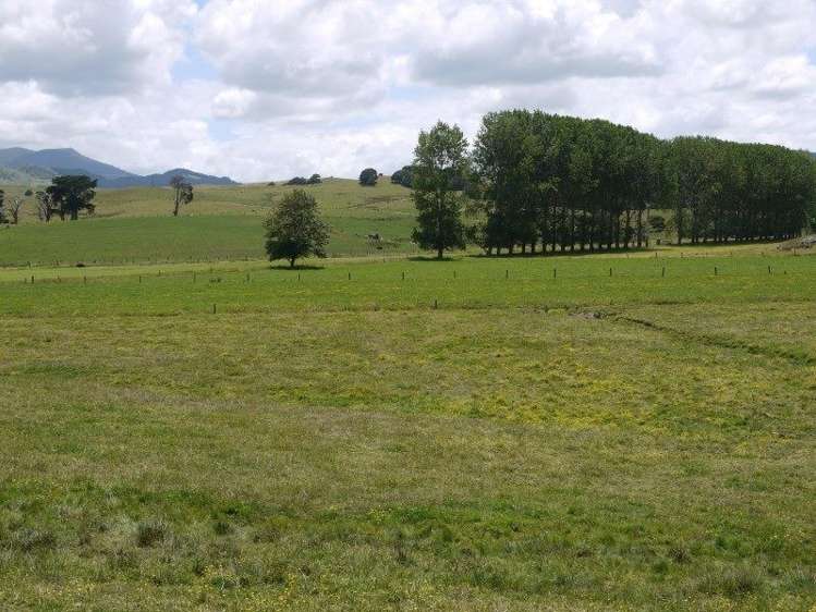 1004 Opanake Road Dargaville Surrounds_5