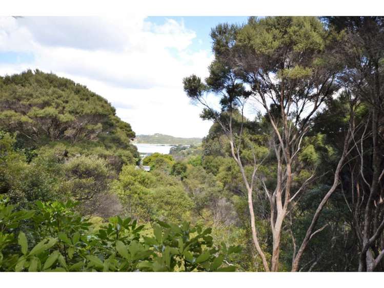 Opito Bay Road Kerikeri_0