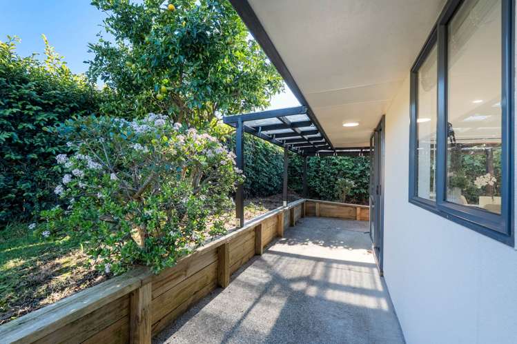 10 Frank Bunce Grove Flat Bush_10