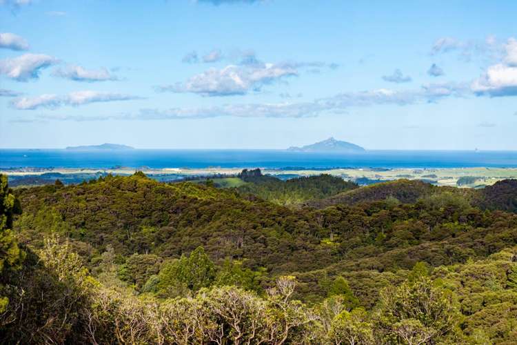 Lots/1 & 3 McAdam Road Waipu_21