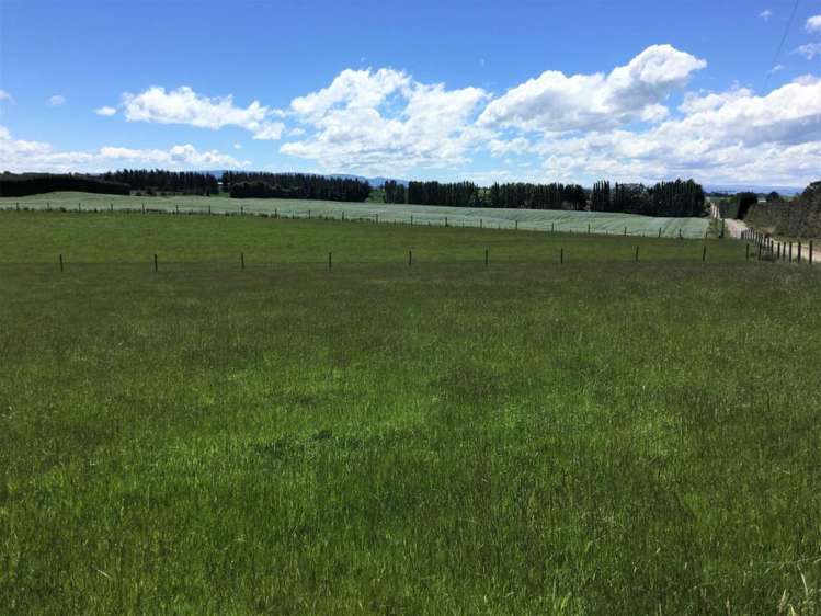 308 Waiwera Station Road Clinton and Surrounds_12