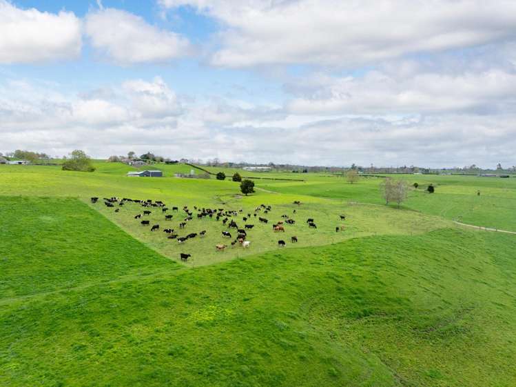 222 Gunn Road Matamata_24