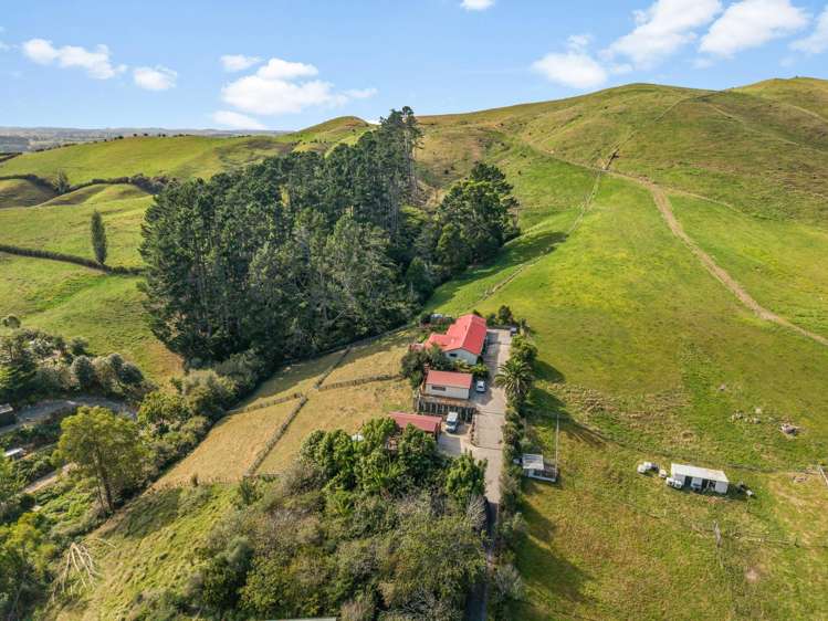 716b Tahuroa Road Morrinsville_23