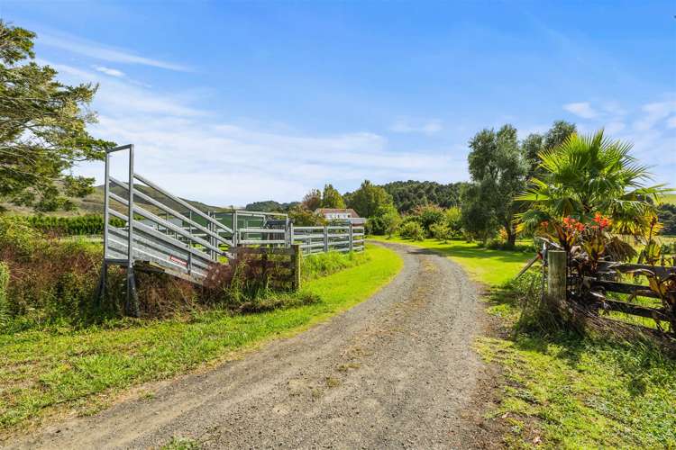 710 Sommerville Road Dargaville Surrounds_23
