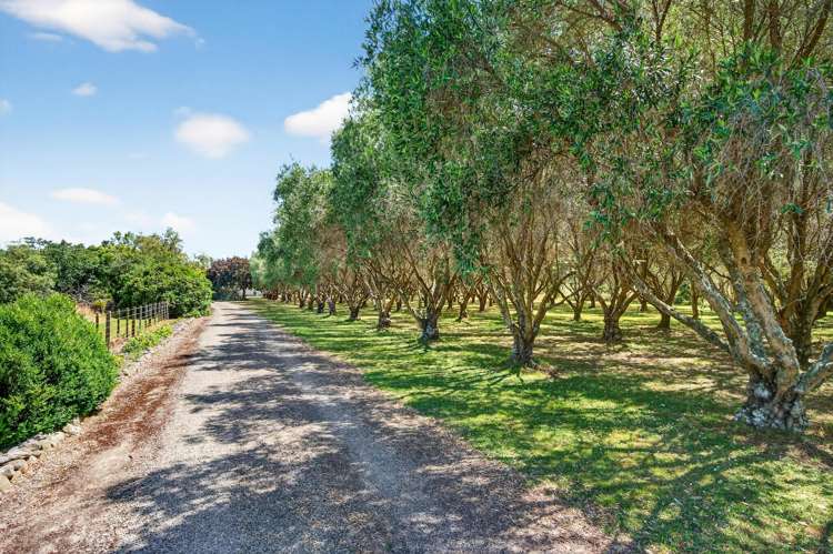 277 Upper Plain Road Upper Plain_15