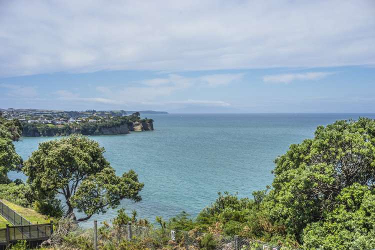 19 Palm Cove Arkles Bay_19