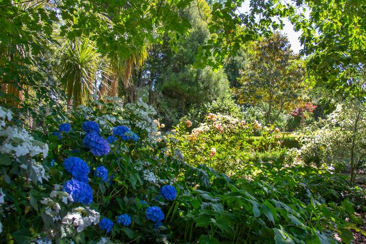 1531 Kahutara Road Kahutara_13