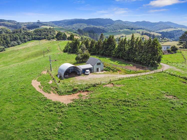 870 Mangati Road Pirongia_4