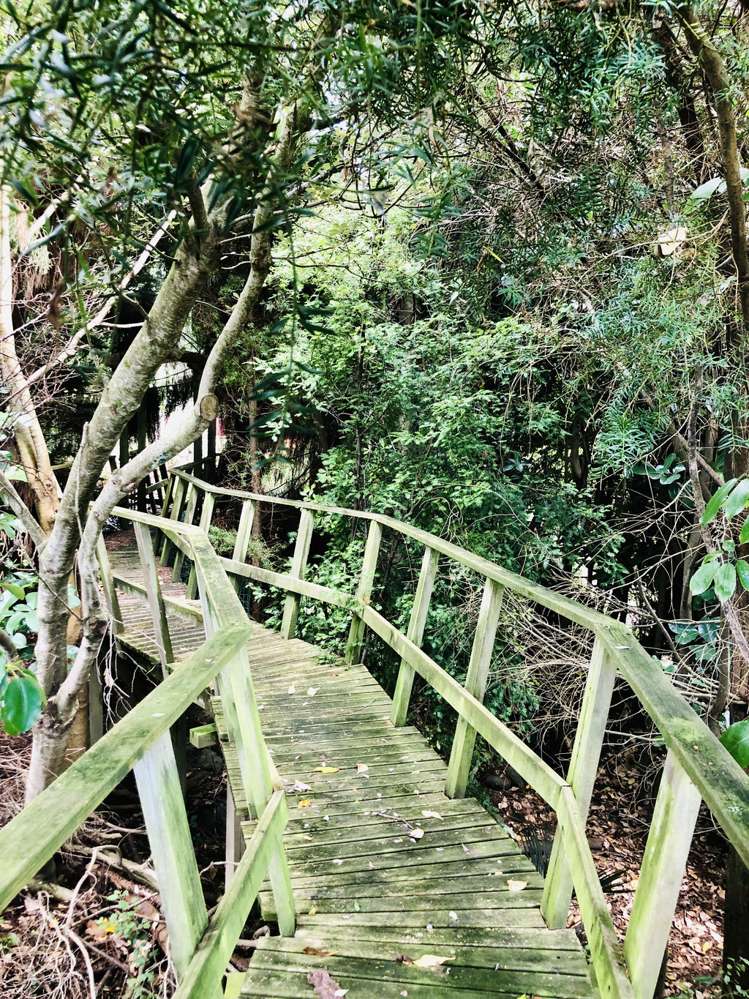 21a Arapuni Road Arapuni_9