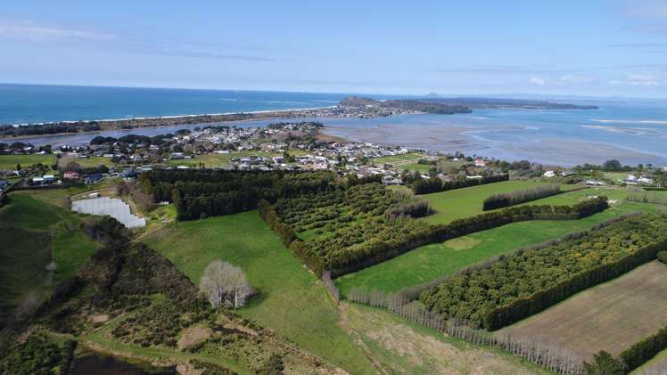 134a Athenree Road Athenree_1