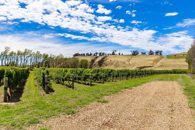 Seaview Road Seddon_4