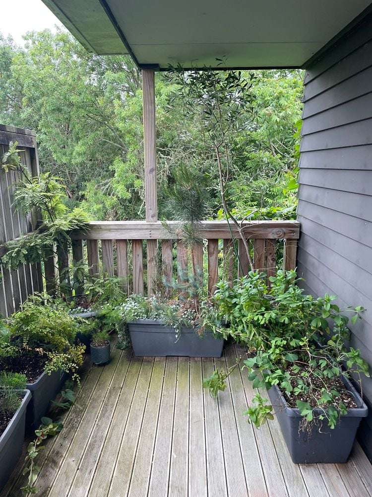 9A Stewart Place Melville_12