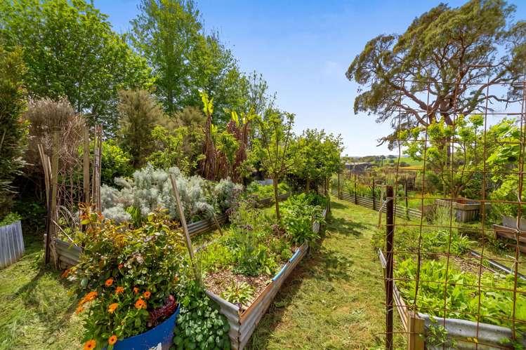 16 Guy Road Kaipara Flats_14