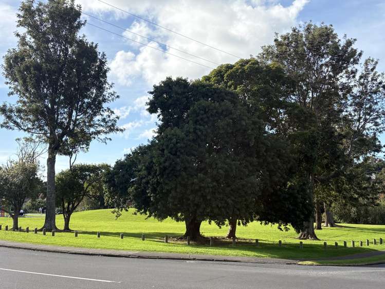 97 Coxhead Road Manurewa_10