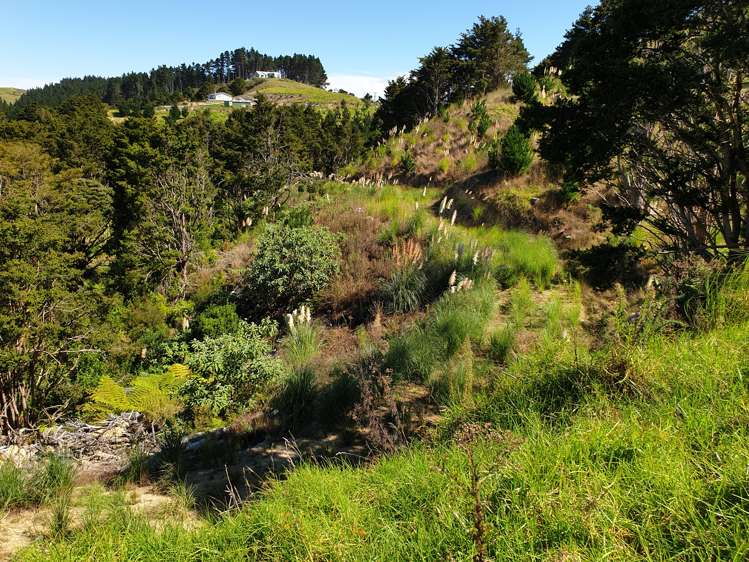 Lot 1/24 Kamea Place Maungaturoto_5