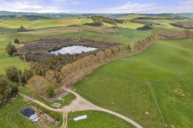 160a Tate Road Te Kuiti_5