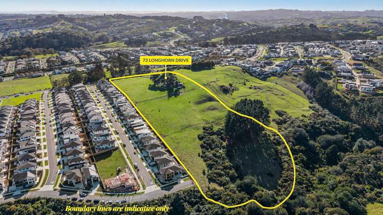 73 Longhorn Drive Flat Bush_6