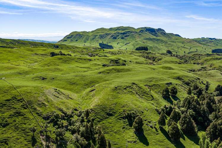 1262 - 1520 Maraetotara Road Waimarama_20