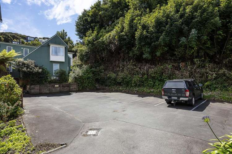 10B Cosy Dell Road North Dunedin_12