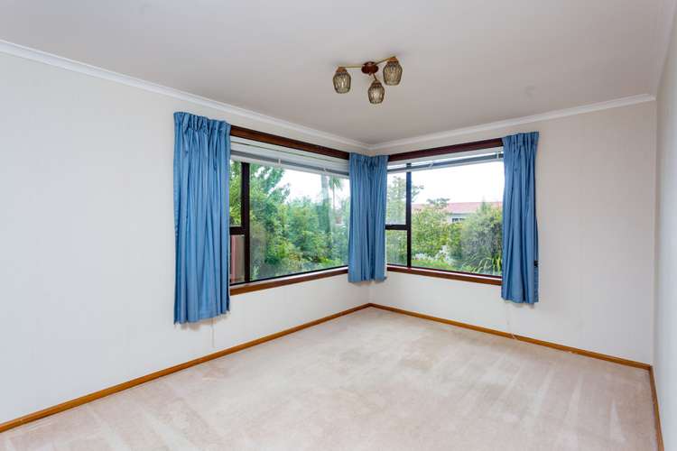 36 Boston Avenue Hornby_6