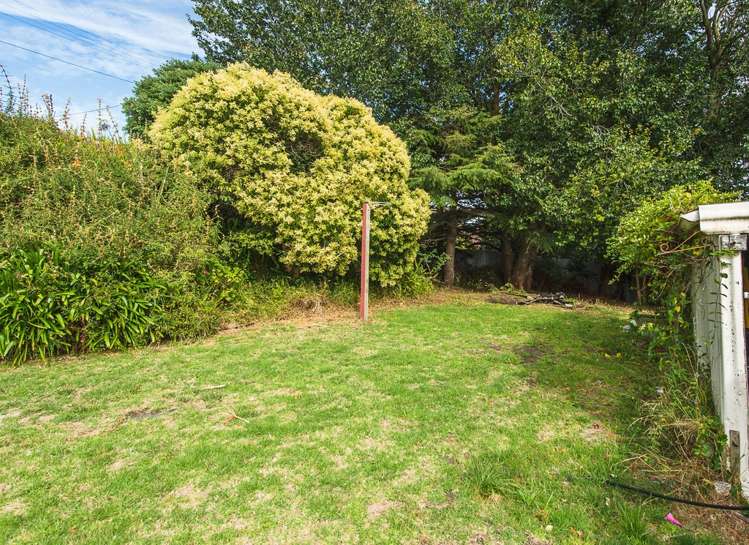 22 Burns Street Tawhero_16