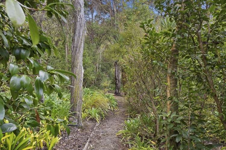 15 Van Beek Place Ruby Bay_23