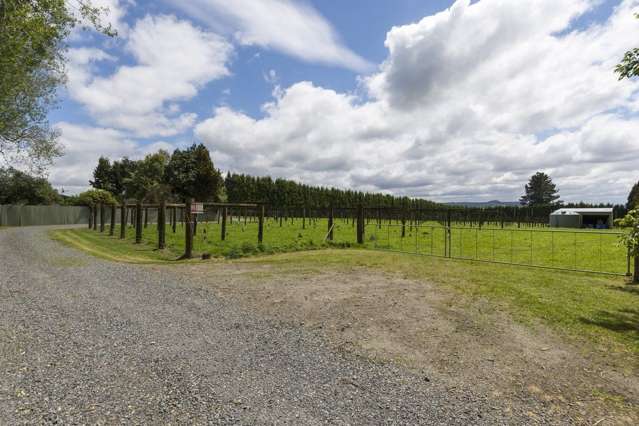 584 Mclaren Falls Road Kaimai_3