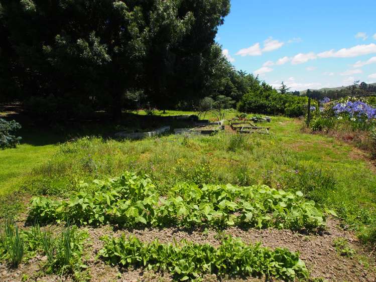 337 Elsthorpe Road Otane_17