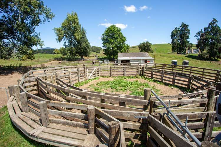 536 Morgan Road Richmond Downs_16