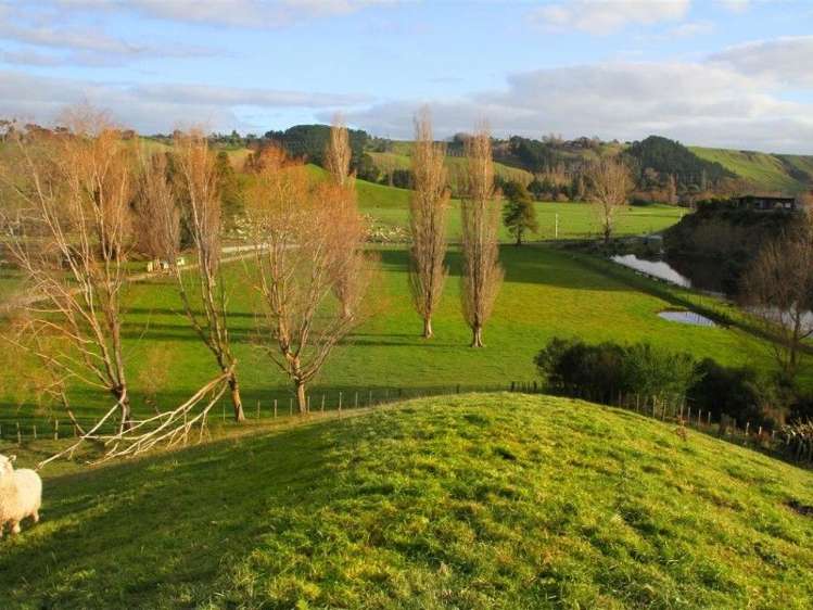 63 Waikupa Road Okoia_1