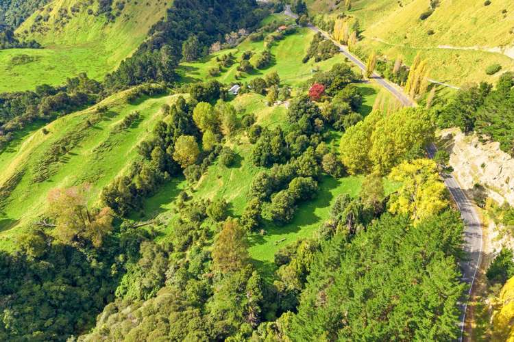 3499 State Highway 4_5