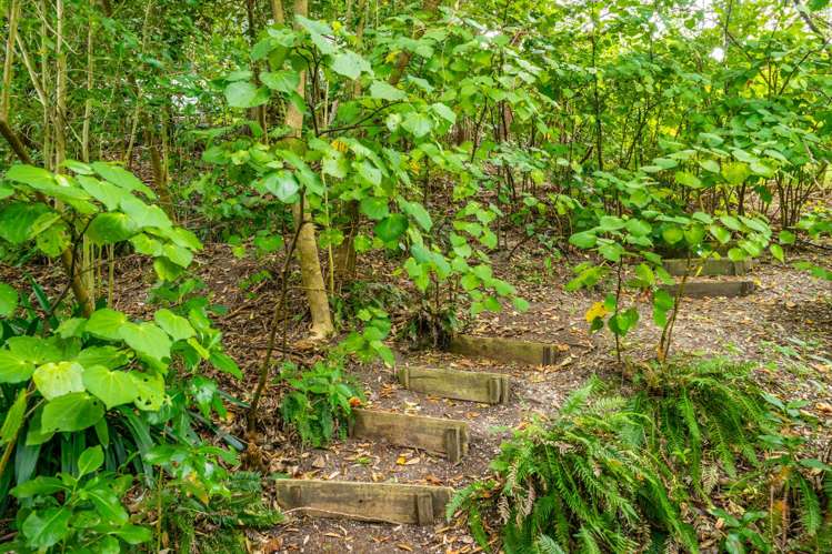 120 Kawakawa Bay Coast Road Kawakawa Bay_23