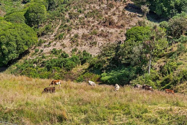 119 Townsend Road Geraldine_6