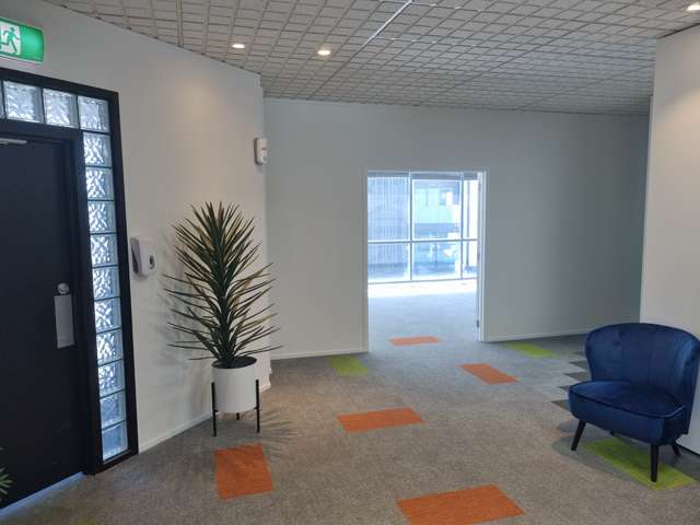 Tenancy 2/2D/2 Enfield Street Mt Eden_4