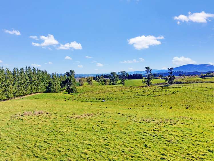 454 Loburn Kowai Road Loburn_7